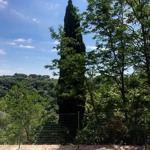  Appartamento La Casa All'oliveto Italia